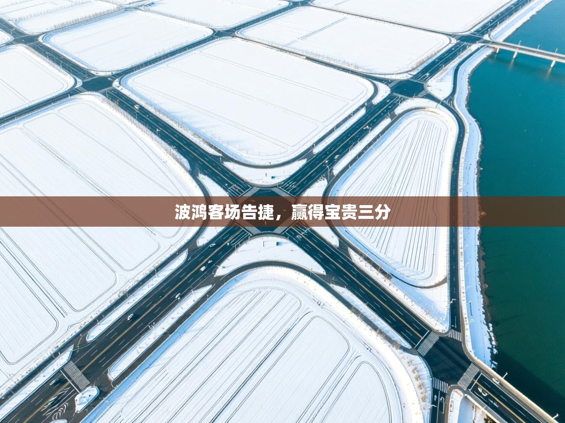 波鸿客场告捷,赢得宝贵三分 第2张